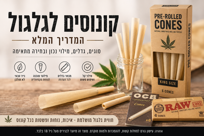 קונוסים לגלגול - המדריך המלא לבחירה ושימוש נכון