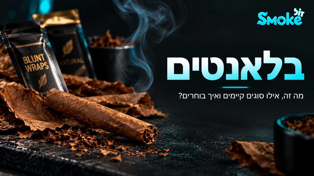בלאנטים - מה זה, אילו סוגים קיימים ואיך בוחרים?